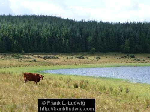 Lough Nasool